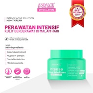 Animate Intense Acne Solution Night Cream 10 gr