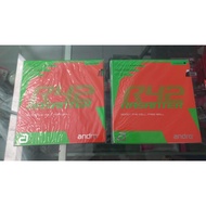 Andro Rasanter R42