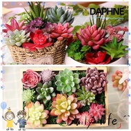 DAPHNE Fake Plant DIY Miniature Outdoor Home Decor Cactus