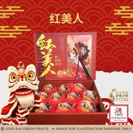 SLH Hong Mei Ren Mandarin Orange 红美人 （9-14pcs）