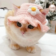 Cat knitted hat / cat hat / animal knitted hat