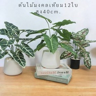 12 Artificial Trees Very Realistic The Crown Has A Good Meaning. It Is Gift For Home Decoration.
