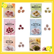 Japanese  Seven-Eleven[7-11] Convenience Store Plum snacks Direct from Japan