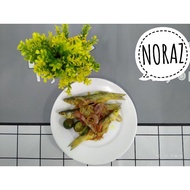 ikan kering belanak.