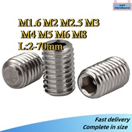 Set Screw Grub Screw/Grub Screw DIN916/Stainless Steel 304 Hex Socket Set Screw M1.6/M2/M2.5/M3/M4/M