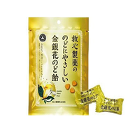 救心製藥 溫和不刺激喉嚨的金銀花潤喉糖 70G