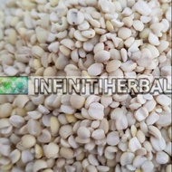 Aceh Barley Jali Jali Seeds