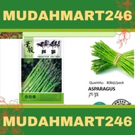 B11 MUDAH MART 80biji/pack ASPARAGUS 芦笋 VEGETABLE SEED BENIH SAYUR