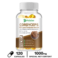 CORDYCEPS - With BETA-13/16-Active Glucan - Supports Heart and Kidney Health - 30/60/120 Capsules