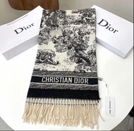 Christian Dior 圍巾