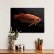 poster ikan arwana red tail golden - dekorasi hiasan dinding kayu - m