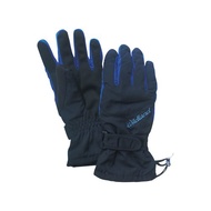 【Wildland 荒野】PR棉防水防風觸控手套 中性 深藍色 W2006-72