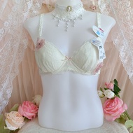 Japan Bra Size : C70 Japanese NWT