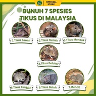 Ebor 401 10kg bromadiolone racun tikus rodenticide cube berbungkah rat mouse mice