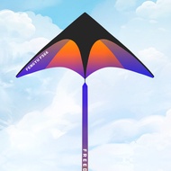Tyk Low Price Seckill Xuanzi F566 Kite with Line Wheel Set Feifang Cartoon Breeze Easy Fly Children 