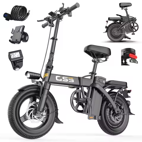 TOOFLY GS3 Folding Electric Bicycle 250W Motor 48V15AH Removeable Lithium Battery Adult Electric Bik