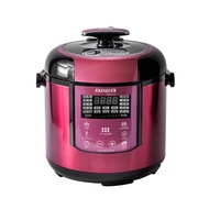 [特價]【AIWA 愛華】5L 智能多功能壓力鍋 DYK-C60