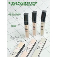 ETUDE HOUSE Big Cover Skin Fit PRO Concealer 7g Korea
