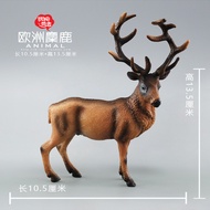 Plaything Shangzhi European Elk Model Simulation Animal Toys Children Educational