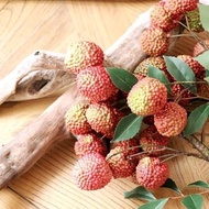 Simulation lychee high quality meaning inspirational fruit fruit bonsai accessories home decoration 