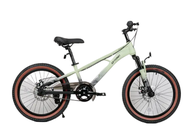 QITONG จักรยานเสือภูเขาเด็ก ล้อ 22นิ้ว ไม่มีเกียร์ เฟรมเหล็ก ปี2024 น้ำหนัก 14.9กก. รุ่น 2466.22