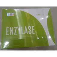 Lang Bragman Enzylase 2g Powder Per Sachet, 28 Sachets Per Box - Supplementation Of Enzymes That Aid
