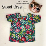 Baju Raya Kucing Sweet Green