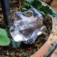 4PCS Self Plant Watering Globes Drip Irrigation Plant Watering Devices Slow Control Plant Watering G