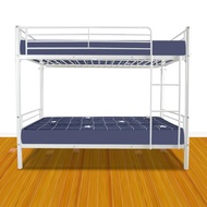 Kids Adult Children Bunk Bed Loft Dorm win over Twin Metal Bunk Beds Frame