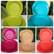 Tupperware Plate