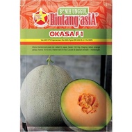 BENIH ROCK MELON OKASA KELUARAN BINTANG ASIA PACK 20 GRAM(850-950+ SEED)