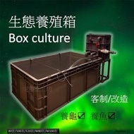 SY精品  養殖箱 新款  烏龜箱 週轉箱 魚缸 生態缸 魚菜共生 沈水馬達 周轉箱 過濾箱