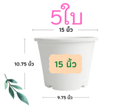 กระถางต้นไม้ 15 นิ้ว 5 ใบ กระถางต้นไม้พลาสติก กระถาง กระถางแคตตัส กระถางพลาสติก สีดำ สีขาว ราคาส่ง