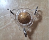龍婆洗 派古曼符珠