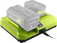 Replace for Ryobi Battery Charger Compatible with Ryobi 40V Li-ion Battery, Compatible with Ryobi 12