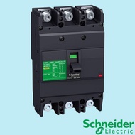 EZC250B/EZC250F/EZC250N/EZC250H Main Breaker EZC250 mainbreaker 100A 125A 150A 160A 175A 200A 225A 2