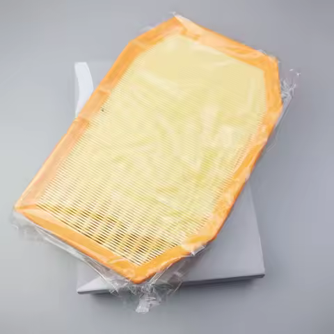 13717590597 AIR FILTER for 523i 528i 530i 730i F01-F04 F10 F11 F18 2.5L 3.0L C30003 LX3973 LX1741 13
