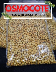 Osmocote "50 grams" Controlled Slow Release Fertilizer Complete Triple 14.14.14