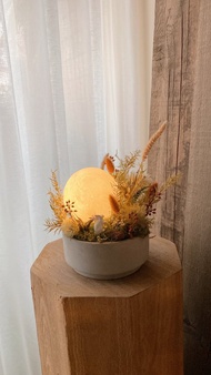 月亮陪伴你  月球燈乾燥盆花  臥室擺件  小夜燈