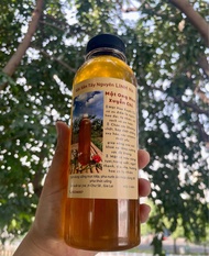 Mật Ong Hoa Xuyến Chi Nguyên Chất Đặc Sản Tây Nguyên Linh Na Mật Ong Hoa Rừng Thiên Nhiên An Toàn Sứ