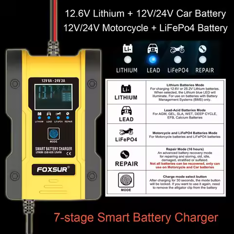 Efficientt-FOXSUR 12V/24V Car Battery 6A 12.6V Lithium Battery Smart Battery For Motorcycle