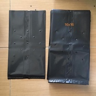 1kg Polybag Size 16X16 Polibeg Plantation Bag with UV Nursery