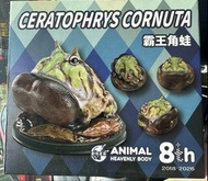 動物星球 霸王角蛙 擺設