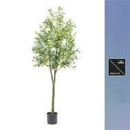 ต้นมะกอกโอลีฟ ต้นไม้ประดิษฐ์ขนาดใหญ่ ใกล้เคียงต้นจริง สูง 180 ซม. MDL11-FH-GL180