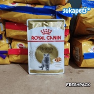 Adult British Shorthair Makanan Kucing Dewasa Wet 85Gr