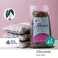 Alocasia Soil Mix (4L / 1.8KG)
