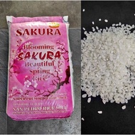 SAKURA JAPANESE RICE 25KG