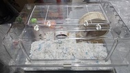 透明亞克力60cm倉鼠籠