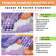 【COD】 5D DIY Full Round Drill Partial AB Diamond Painting Dreamer Kit Decor 45x65cm