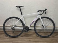 Giant 2027 TCR Adv 2 公路車 爬坡車 全能車